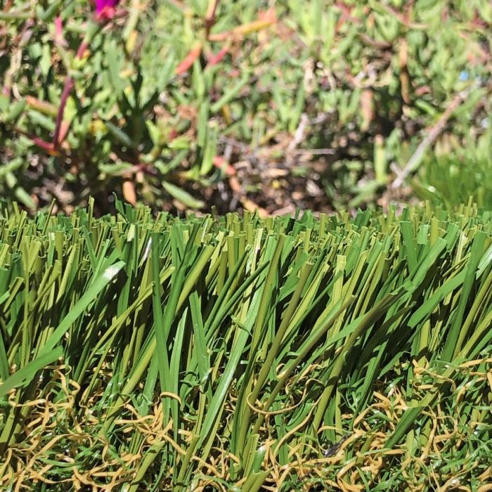 Hawaii 2" 96 oz Artificial Grass by SMARTLAWN Professional